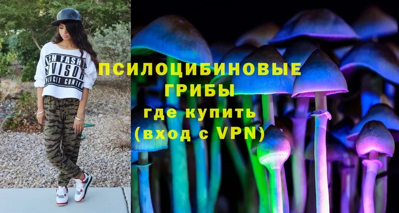 Псилоцибиновые грибы Psilocybe  Людиново 